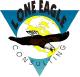 Lone Eagle Consulting logo